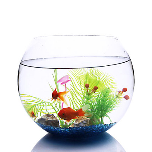 數(shù)量顏色有講究辦公室養(yǎng)魚(yú)風(fēng)水知識(shí)